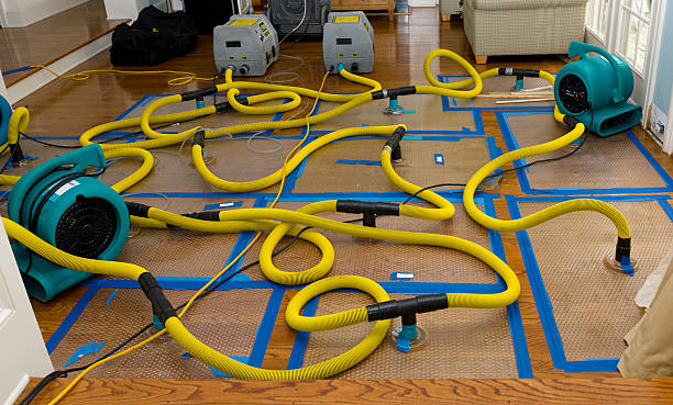 Professional Water Extraction technician working in Forest Hills, MI